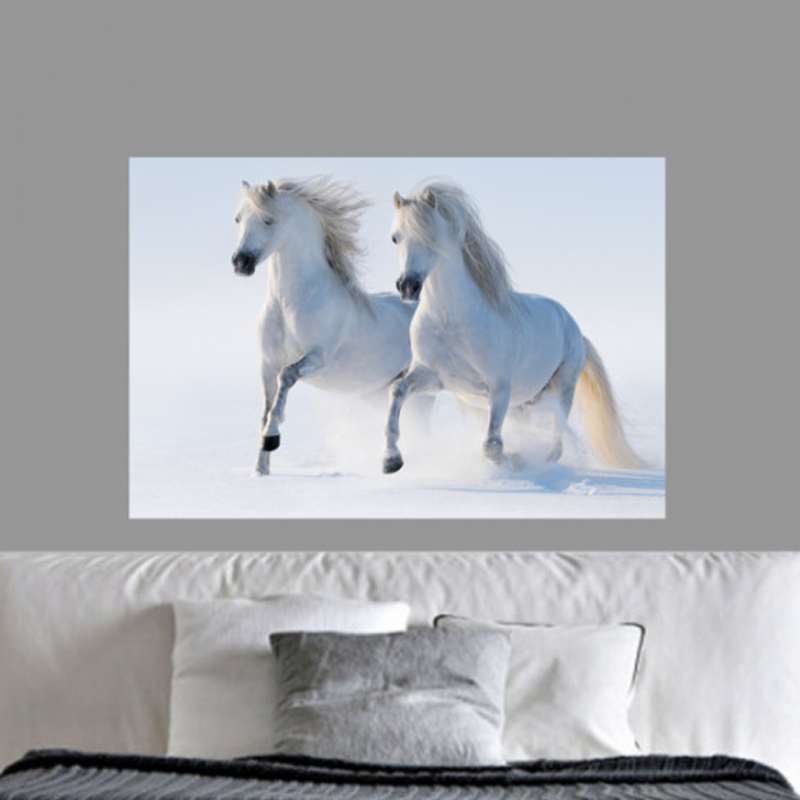 Πίνακας σε καμβά με Ζώα White horses